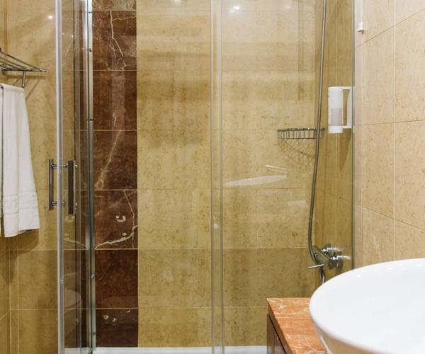Premier Twin Room